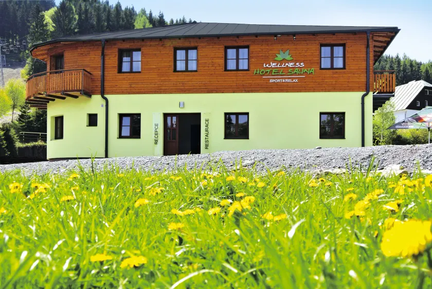 Wellness hotel Sauna - Image 1