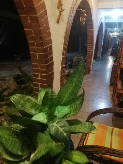 Hotel Villa Los Arcos - Image 1