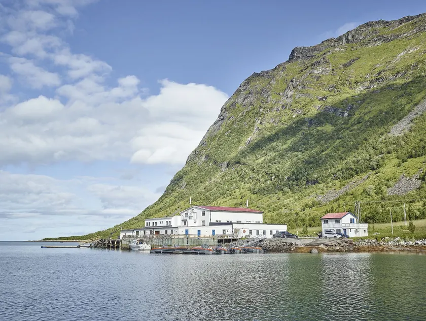 Northern Light Hotell/Camp Steinfjord - Image 1