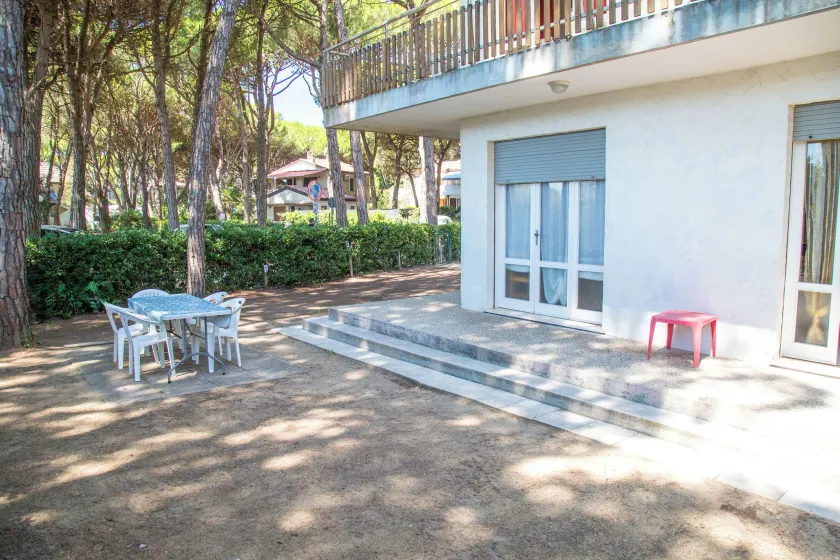Apartment in pine forest near the beach - Image 1