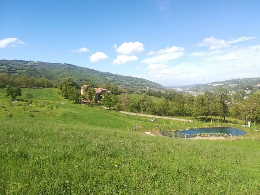 SacreTerre B&B e Agriturismo - Image 1