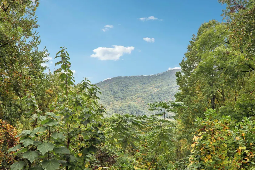 Mountain Views & Hot Tub - Your Blue Ridge Getaway - Image 1