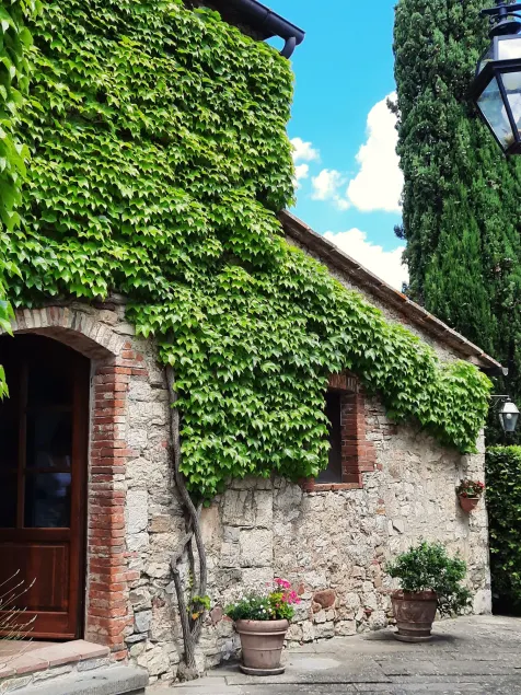 Borgo Livernano - Image 1