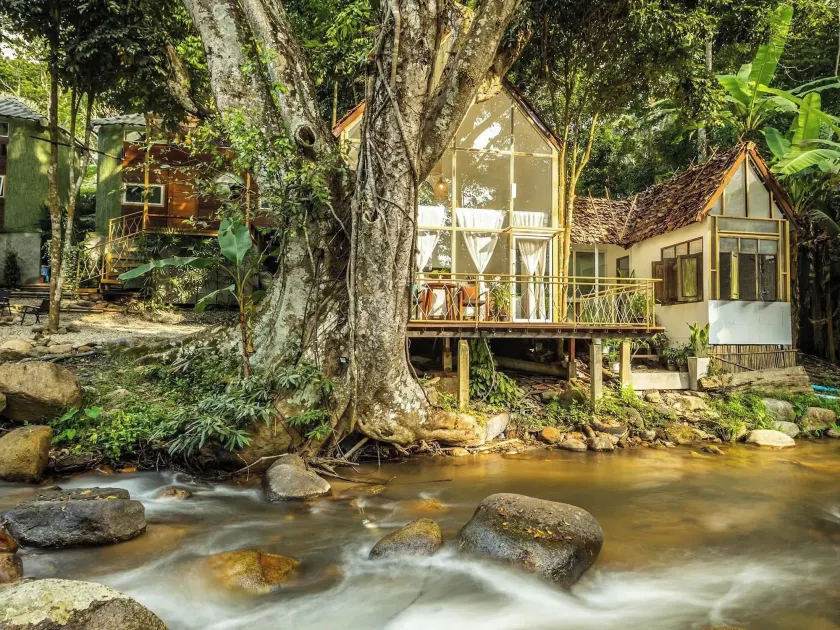 The ForRest Peace Forest แม่กำปอง - Image 1