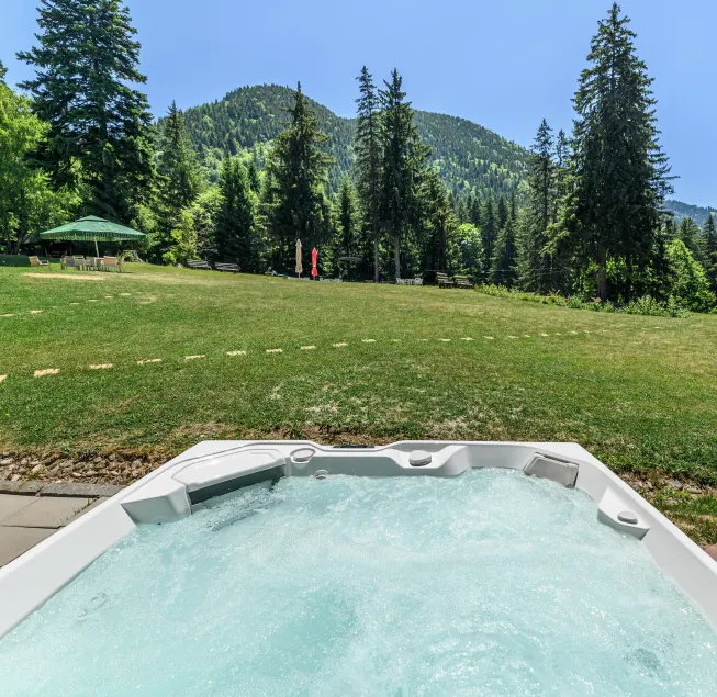 Hotel Casa Viorel jacuzzi & saunas - Image 1