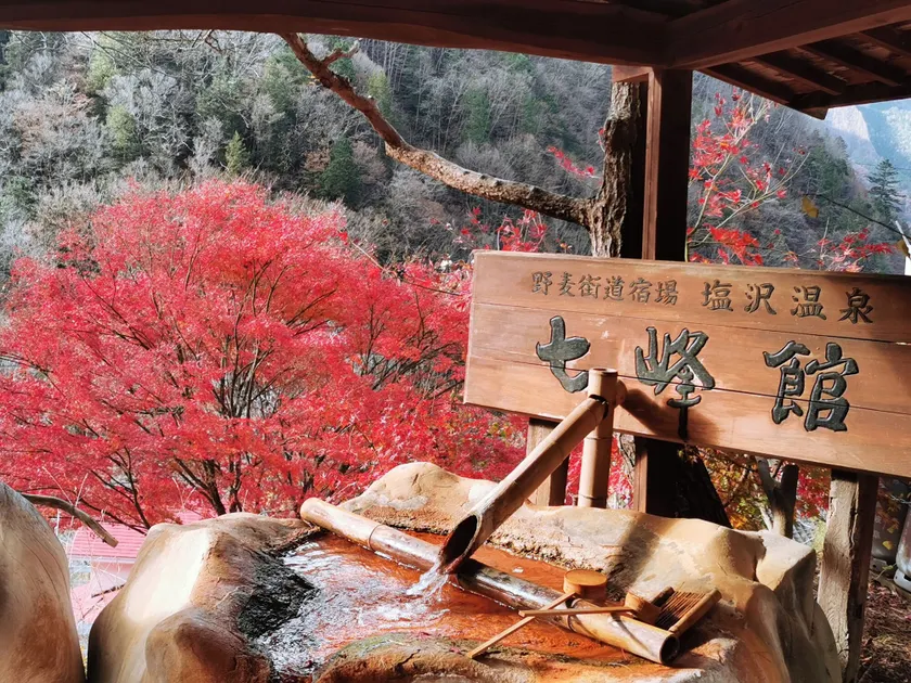 Shiozawa Onsen Shichihokan - Image 1