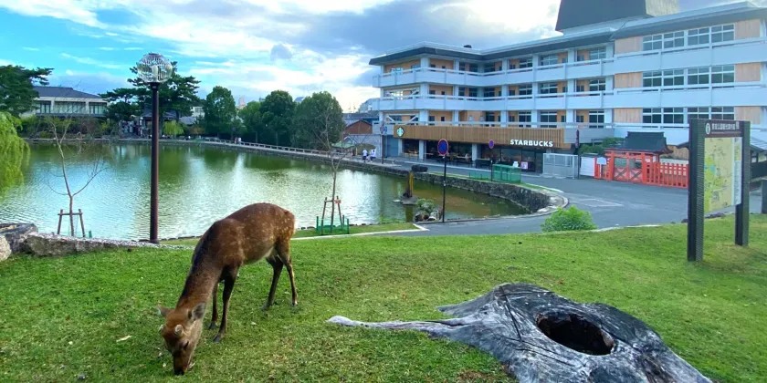 Hotel Tenpyo Naramachi - Image 1