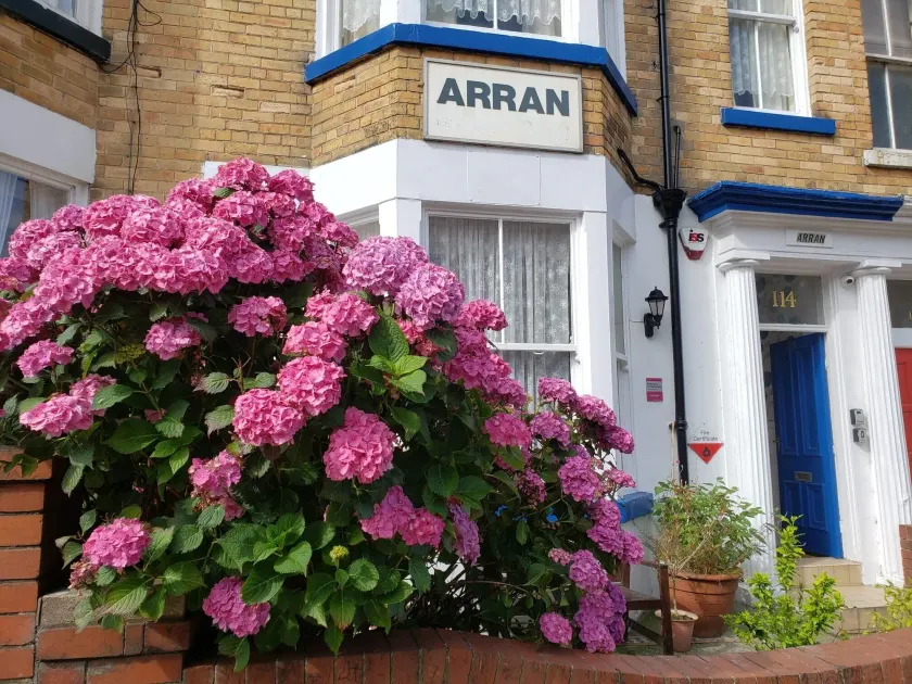 The Arran - Image 1
