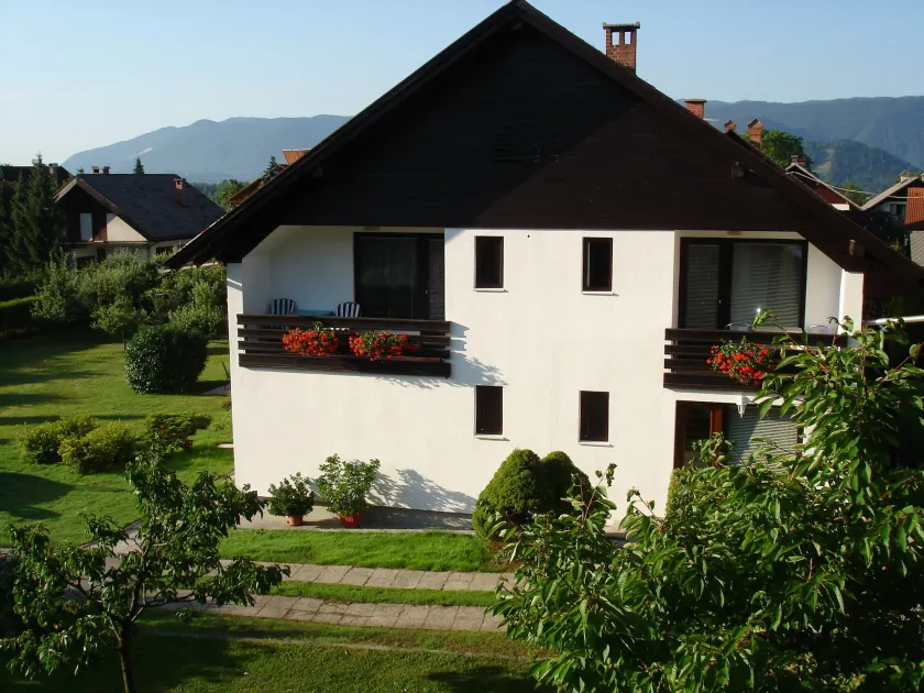 Apartments Vidic - Image 1