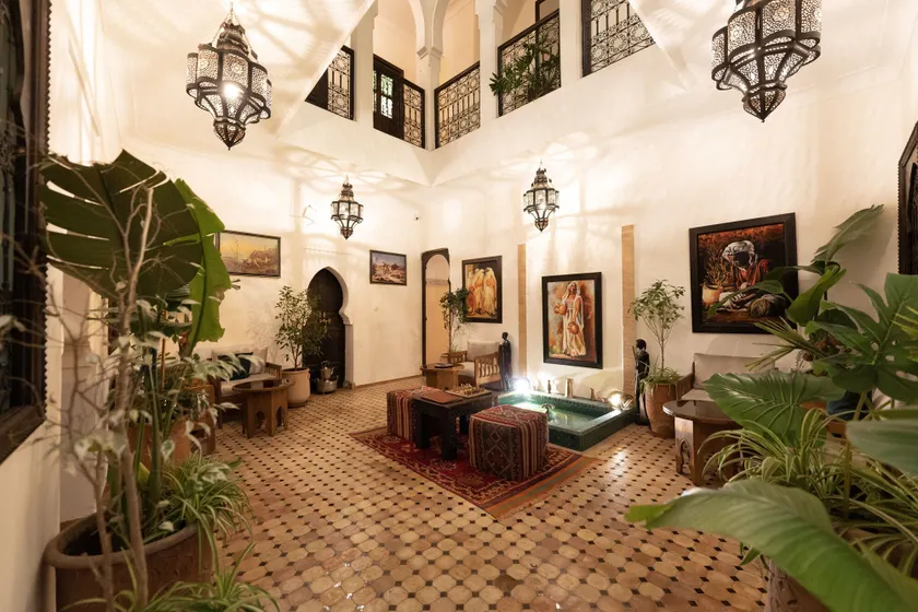 Dar Salam Palm - Image 1