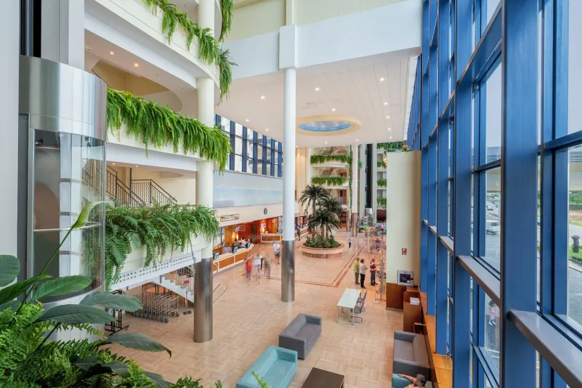 Peñiscola Plaza Suites - Resepsjon