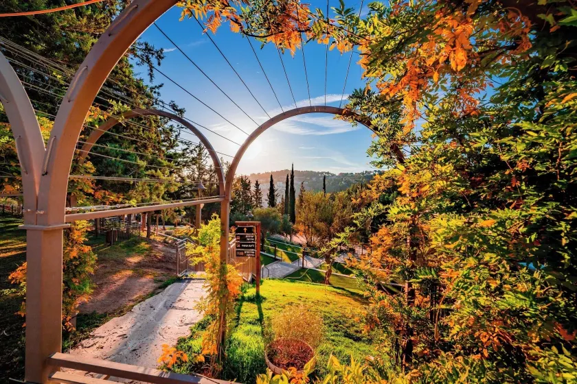 Peace Forest Jerusalem - Cabins & Caravans by City of David - Image 1