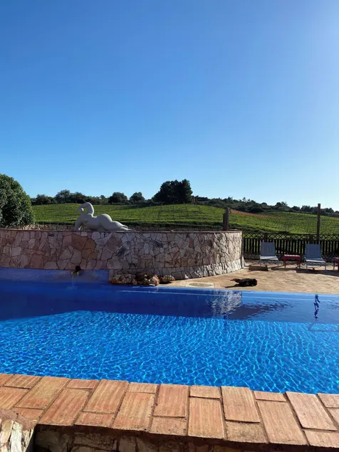 Quinta dos Vales Wine Estate - Image 1