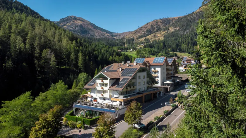 Hotel Erica - Image 1