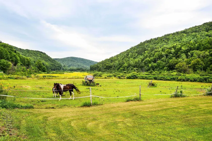 Pet-friendly Roxbury Farmhouse on 350 Acres! - Interiör