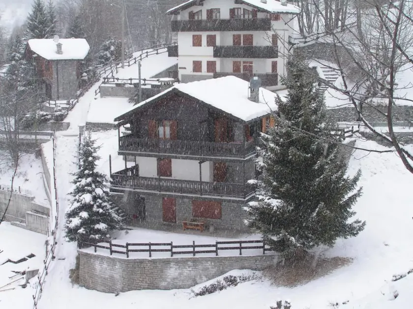 Le Petit Nid - Image 1