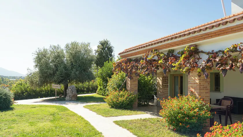 Hotel Essenza di Mirto  - Image 1