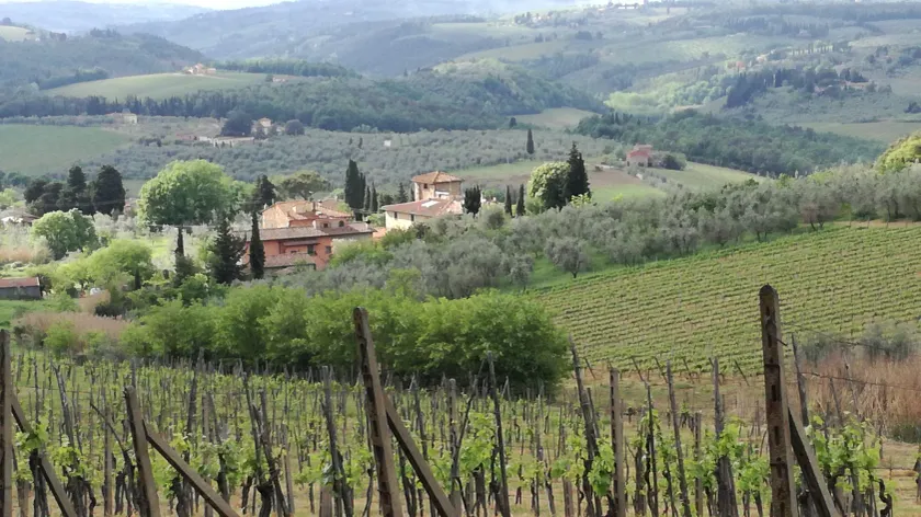Agriturismo Podere la Cava - Image 1