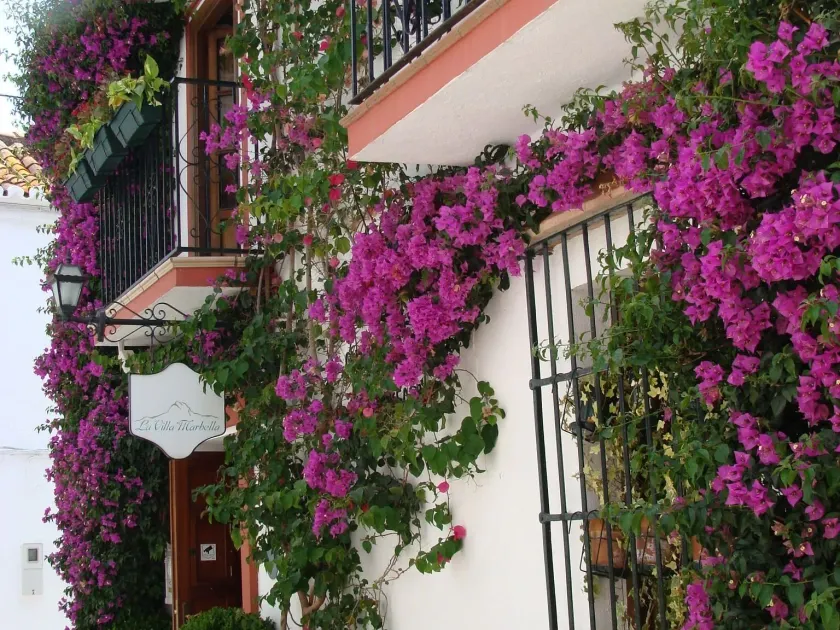 La Villa Marbella - Image 1