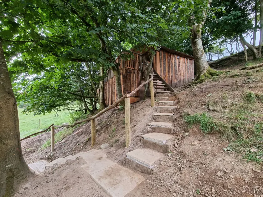 Tree House - Image 1