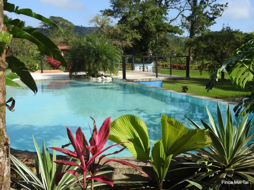 Mei Tai Cacao Lodge - Image 1