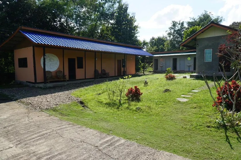 Tribal Pai - Image 1