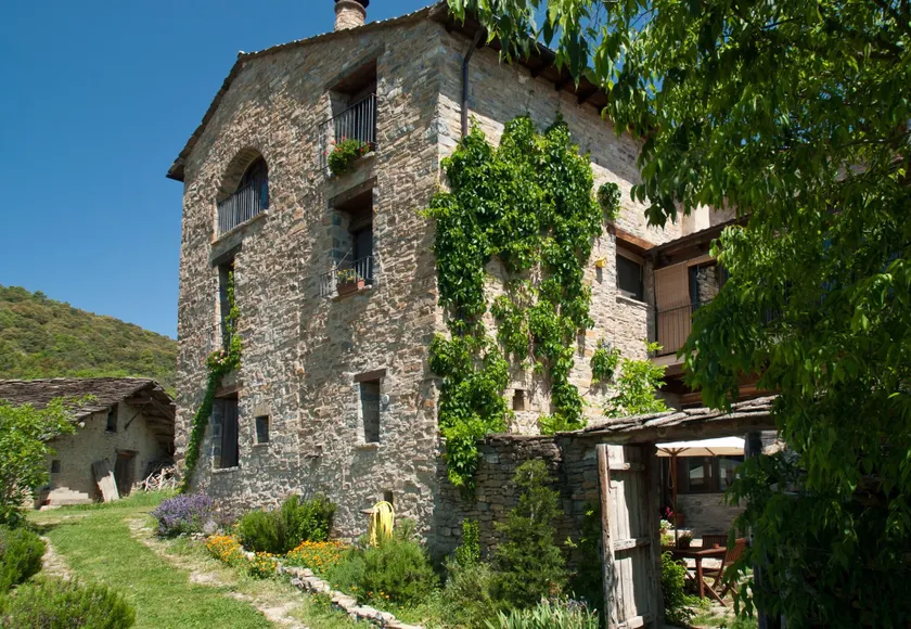 O Chardinet d'a Formiga - Image 1