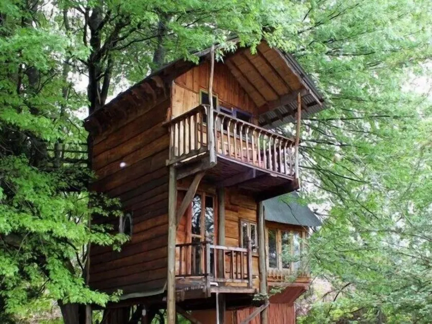 Sycamore Avenue Treehouses & Cottages Accommodation - Image 1