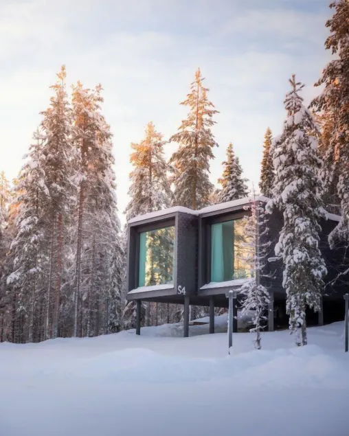 Arctic TreeHouse Hotel - Image 1