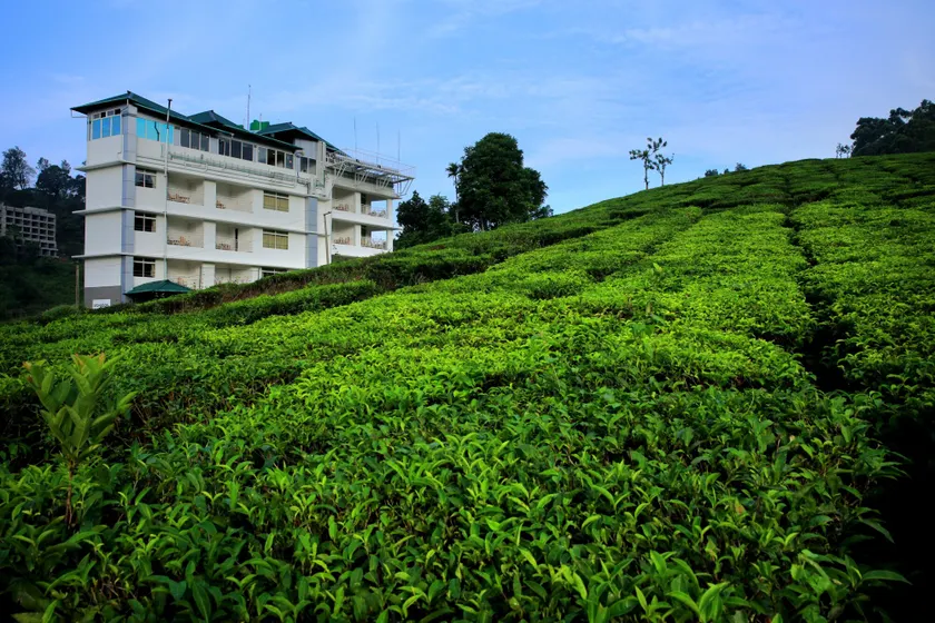 Monsoon Grande - Image 1