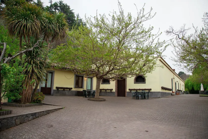 L'Antica Vigna - Image 1