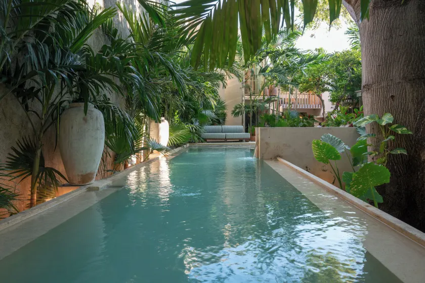 Querida Casa - Mérida Centro - Image 1