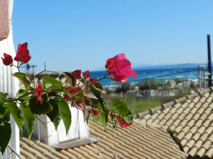 Infinity blue beach apartments - Renovated Apartments 2 Minutes from the Sea & Pool with Scenic Views - Image 1