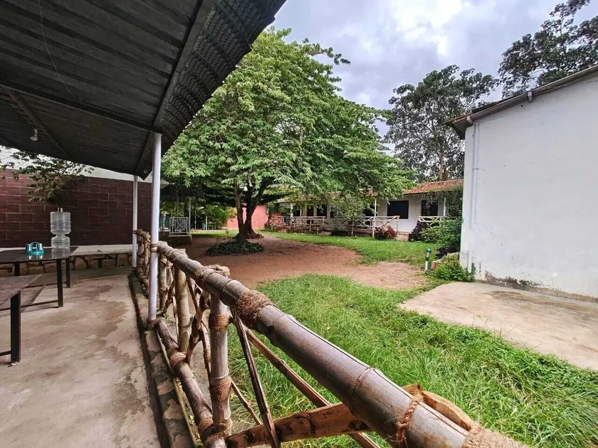 The Big Cat's Den - Maravakandy Resort, Masinagudi - Image 1