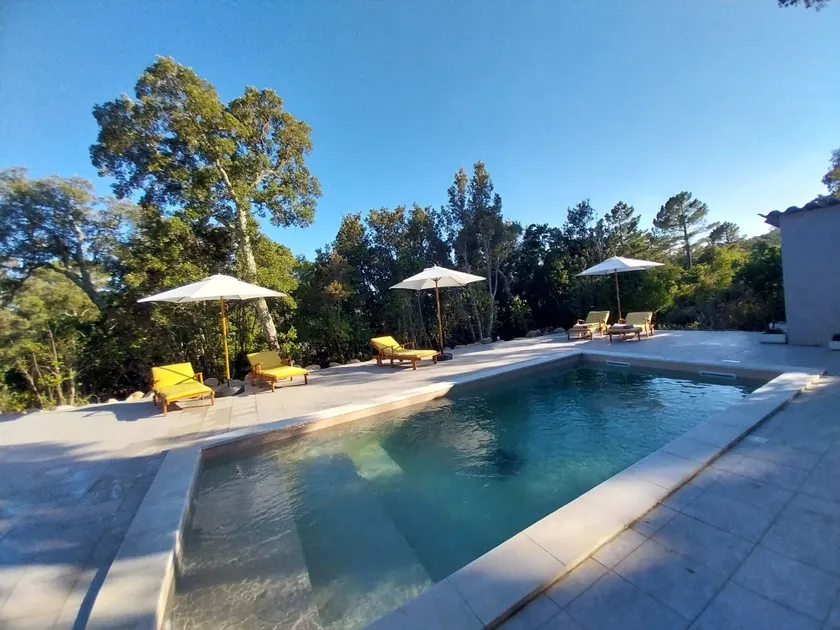 CASA DI RAMATTA - Chez l'apicultrice - Image 1