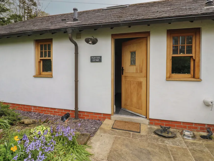 Plum Tree Cottage - Image 1