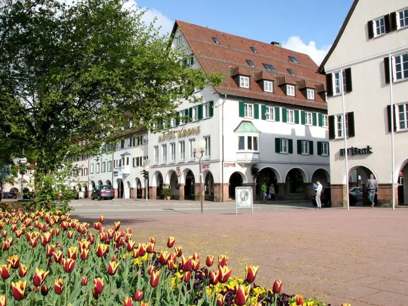 Hotel Krone  - Image 1