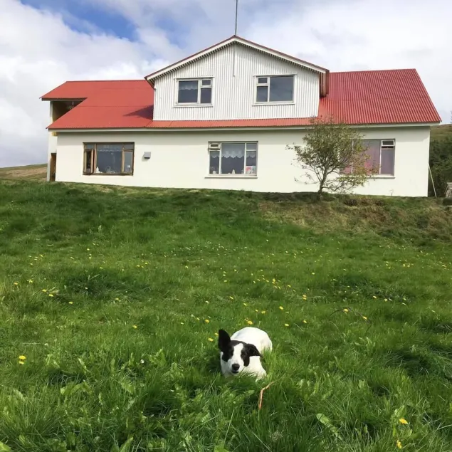 Öndólfsstaðir Farm B&B - Image 1