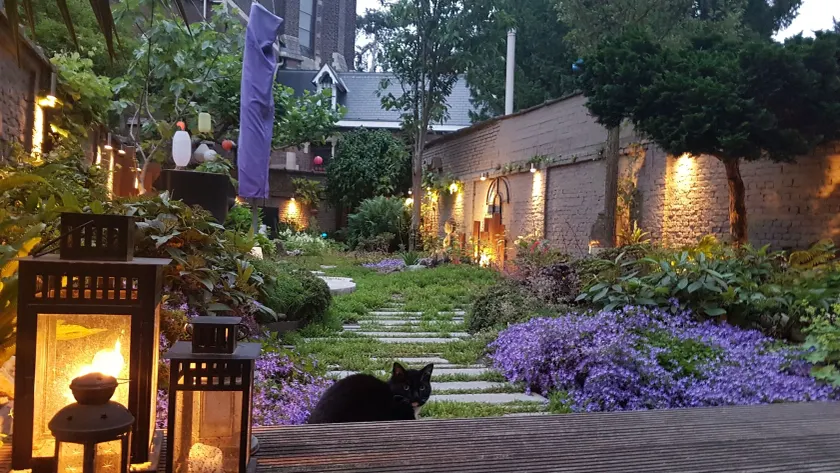 Bed & Breakfast Guesthouse Leman - Image 1