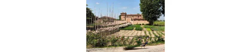 Antica Corte Pallavicina Relais - Image 1