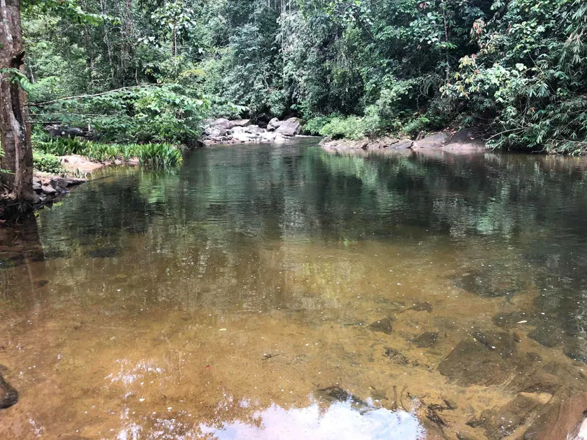 Jansen’s Bungalow Sinharaja Rainforest Retreat - Image 1