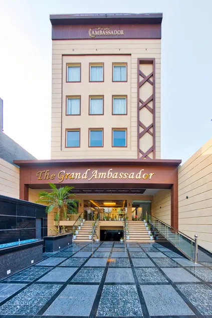 The Grand Ambassador - Image 1