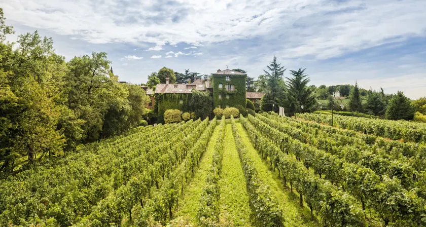 L'Albereta Relais & Chateaux - Image 1