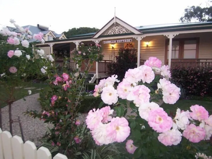 Reid's Place - Image 1