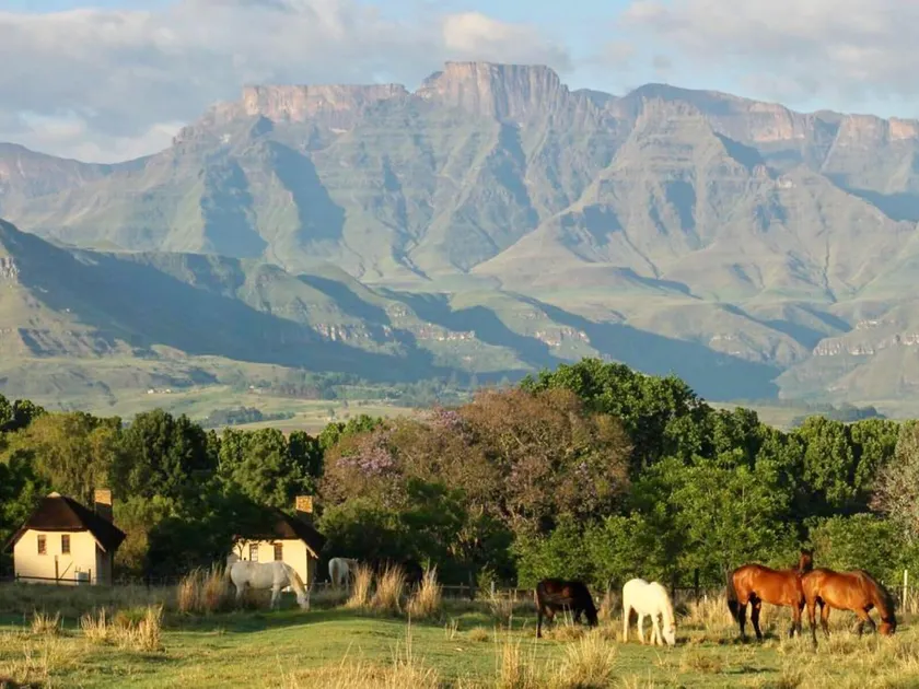 Ardmore Guest Farm - Image 1