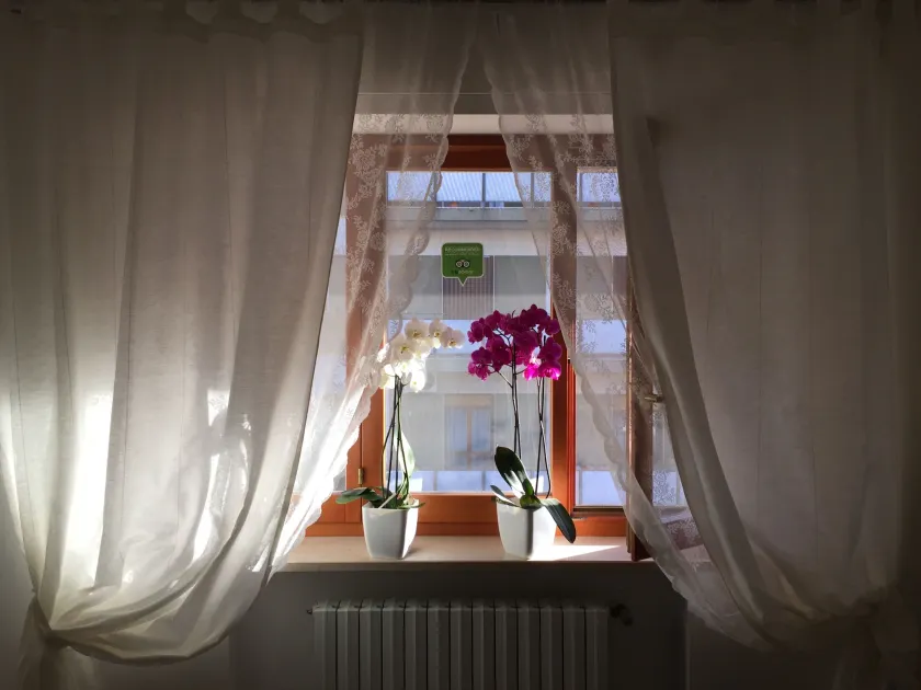 B&B Le Saline - Image 1