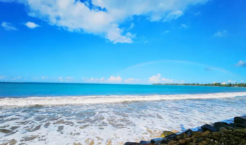 Selva Boutique Hotel - Luquillo Oceanfront Retreat - Adults Only - Image 1