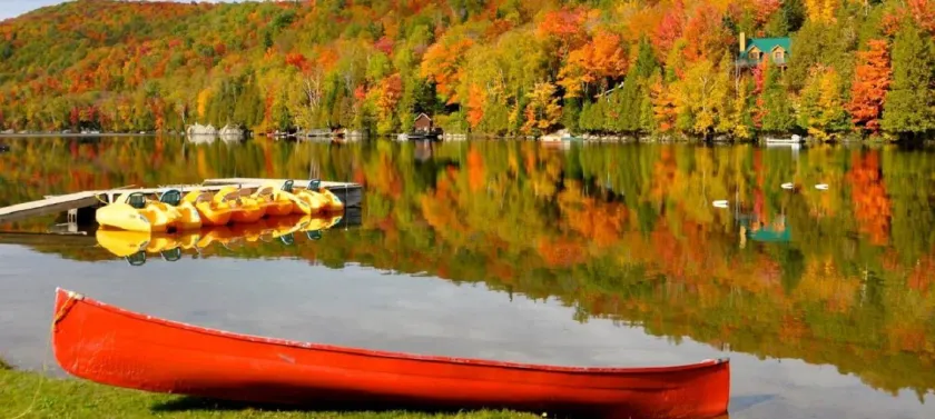 Le Boisé du Lac - Image 1