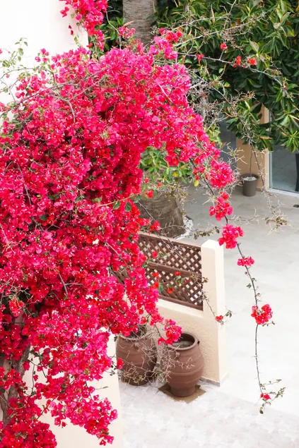 Dioni Hotel - Image 1