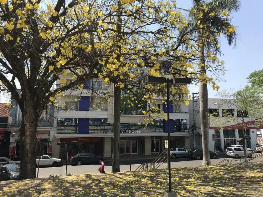 Vip Hotel - Image 1